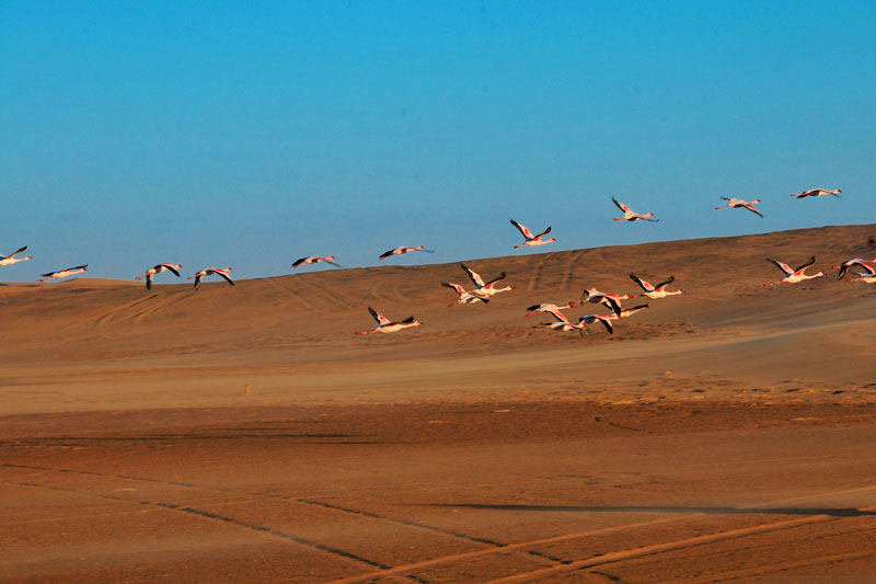 Namibia